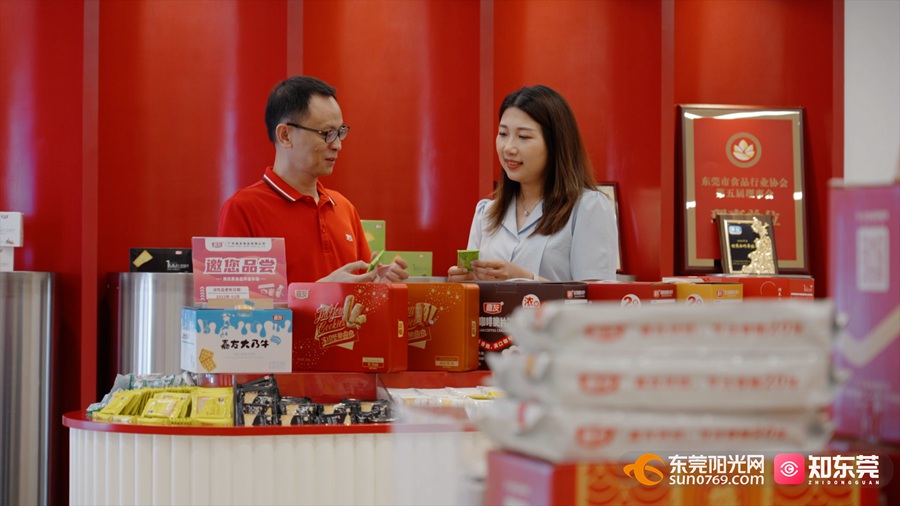 广东乐家家食品有限公司，探索、成长与卓越