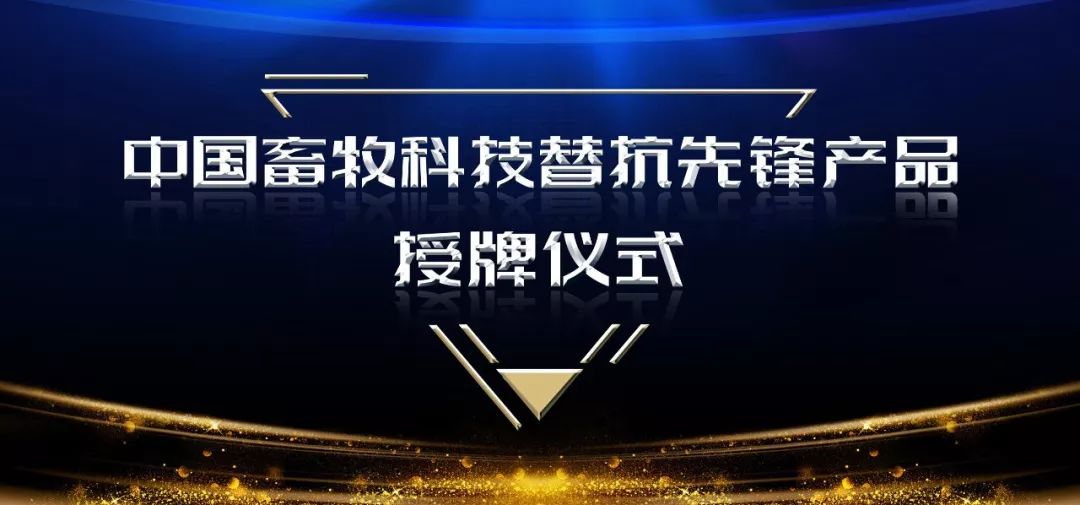 江苏英特莱科技，引领科技创新的先锋力量