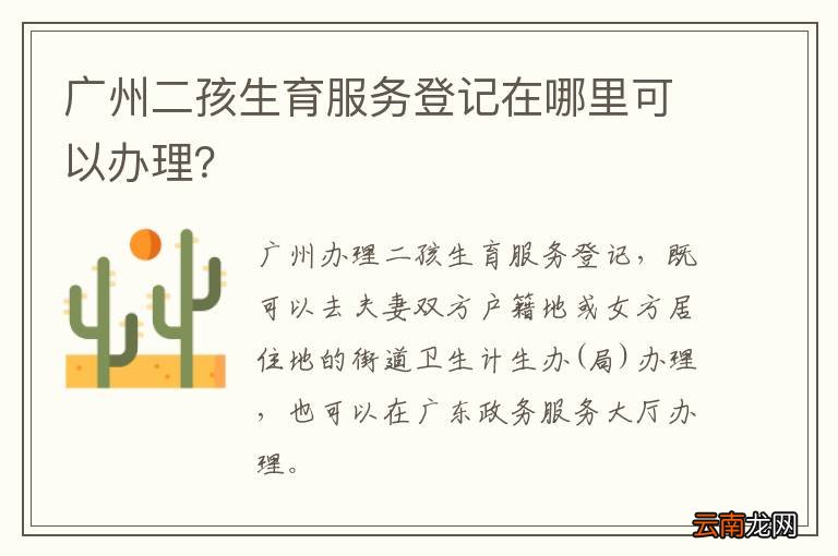 广东省二胎生育登记，政策解读与实际操作指南