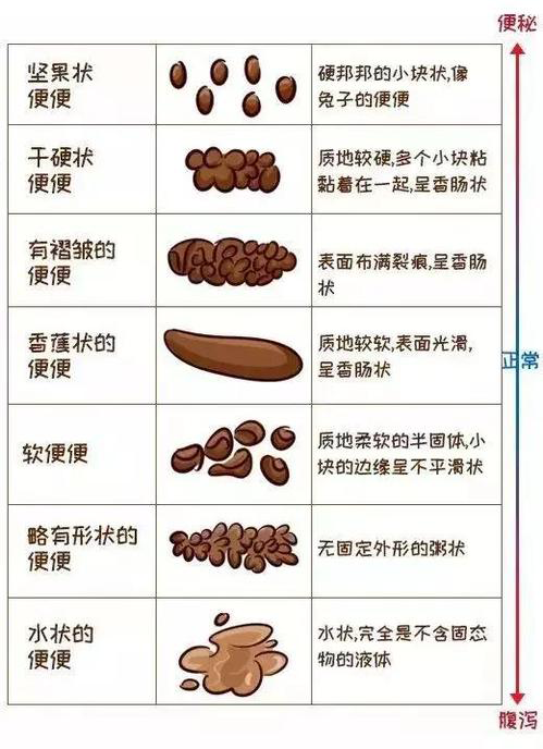 三个月宝宝正常大便图片，了解、识别与关注